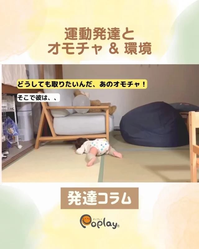 【赤ちゃんの脳と体の成長を助けるために必要なことは？】  赤ちゃんの成長・発達を助けてくれる、
ちょっと濃くて深ぁ〜いお話し。  次へ繋がるヒントが満載の
赤ちゃんの何気ない動きに注目します💡  空間認知力にも繋がる赤ちゃんの発達の秘密は？  長い投稿ですが、
幼児期以降にも役立つので、
ゆっくりじっくり読んで下さいね〜😉  ■■オモチャのこと  オモチャ遊びは、  目の発達
手指の発達
手と目の協応
音を聞く（聴覚の発達）  などにつながり、脳を育てます。  ですので、
乳幼児が夢中にオモチャで遊ぶことは
とても大切ですね。  周りのもの全てが遊び道具。  赤ちゃんが元々持っている、  🌈シンプルな物で想像を膨らませ、
楽しい遊びに展開していく力🌈  を伸ばしていきましょう！  ■■オモチャと運動発達  運動発達と聞くと  ・首すわり
・寝返り
・ずり這いやハイハイ
・お座り
・立っち、アンヨ  が
「できたできない」
にクローズアップされがちです。  ですが、シェルハブでは、  ・どんな寝返りをしているのか
・どのように座っていくのか  などに注目し、
その質や動き方大切にします✨  ■■オモチャで遊びながら脳と運動発達を助けるために  動画はシェルハブレッスンご利用の12ヶ月Nくんです。  ・オモチャを自分で取れた
・つかまり立ち、伝い歩きが出来た
・オモチャを持ちながらハイハイしている  だけなく、、  質や動き方そのものにも、
大切な動きが、た〜くさん含まれているんですよ✌️  例えば、オモチャを取る（右手を伸ばす）ために、  ・右手以外の体のどの部分を使っているか。
・転ばないためにどうしているか。
・掴んだオモチャでどう遊ぼうとしているか  こんなところから見ると、
Nくんは約１分の間でも、
脳と体を充分に使い、  🌈自分の力で成長しているのがわかりますネ🌈  このように、脳と体をしっかり使って
好奇心旺盛に遊ぶ（成長する）ためには、  これまでの、  ・寝返り
・手で自分の足を持って口に入れる  などの経験も活きてくるんです。  成長・発達は繋がっていますよ〜❗️  ■■遊びに夢中でも頭をぶつけない、のはスゴいこと  Nくんは、うま〜く腕・体・脚・足指を使い、  ソファに頭をぶつけることなく、
オモチャを取ることに集中していますね。  あたり前のようですが、
これ、とても大切で凄いことなんです✨  以前のコラムでも触れた、
空間認知力に関係しています。  空間認知力とは、
例えば、大人の生活で考えると  ・部屋の家具を配置する
・街中ですれ違う人とぶつからずに歩く
・車を運転して目的地に向かう  など、
普段の無意識な行動にも使われています。  その空間認知力のためには、  まず自分の体の大きさや腕の長さなど、
体の地図・ボティイメージが脳ではっきり自覚できることが大切💡  幼児期に著しく伸びるといわれるのこの空間認知力のはじめの一歩が、  《オモチャやママの顔に手を伸ばして触る》  なんです💕  なので、2,3ヶ月の赤ちゃんでも  「いま、何やってるのかなぁ♪」  と、たまにはそんな目で見ると
きっと新しい発見がありますよ💫  🍀動画掲載の許可を下さったNくんご家族さま、
ありがとうございます！  *・。*・。*・。*・。*・。  この投稿のさらに深いお話は、  プロフィール欄 @happy_machichiから  公式サイトの
「心と発達のコラム」
をご覧下さいね！  大人の関わり方や、遊ぶための床環境
についてもご紹介してます😊  ■■シェルハブメソッドとは？  運動発達が脳の成長を促すと考え、
イスラエルのハバ・シェルハブ博士が考案しました。  「動きたい！遊びたい！」「なんだろう？」という、
赤ちゃんの好奇心と主体性を大切にする
発達サポートです。  *・。*・。*・。*・。*・。
　  ■■Poplay®︎とは  乳児から中学生までのお子さんの運動発達・姿勢改善などを通して、
心と体を育むお手伝いをしています。  主宰の高橋は子どもに携わり22年、ベテランのインストラクター。  シェルハブの赤ちゃん個人レッスン（対面&オンライン）では、  ・オモチャの選び方
・生活環境の整え方  など、お子さん・ご家庭に合わせたオーダーメイドのレッスンが好評です♡  詳細はプロフィール欄のPoplayサイトURLからもお入りくださいね
👇
@happy_machichi  ご質問はDMからもお気軽にどうぞ🍀
お待ちしてます😊  ■■講師紹介  シェルハブメソッド国際公認指導者 2017~
シェルハブメソッド東京会員
Poplay(ポップレイ)®︎主宰
高橋まち  *・。*・。*・。*・。*・。  #赤ちゃん発達サポート
#赤ちゃん脳育て
#乳児教育
#０歳児教育
#たのしい子育て
#ぽんぽんむぎゅう
#赤ちゃんの好奇心を伸ばす
#赤ちゃんの能力を伸ばす
#赤ちゃんのボディイメージ
#赤ちゃんの空間認知力
#シェルハブメソッドレッスン